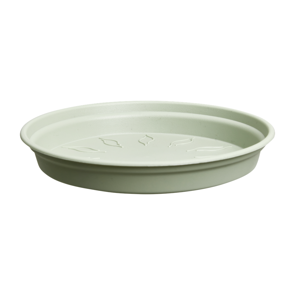 Green Basics Saucer 10