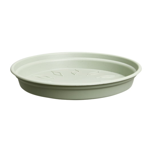 Green Basics Saucer 17