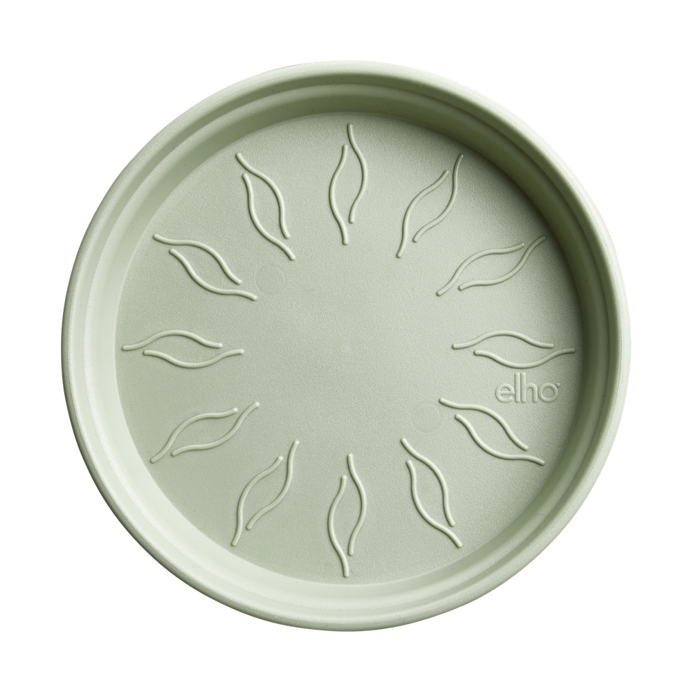 Green Basics Saucer 34