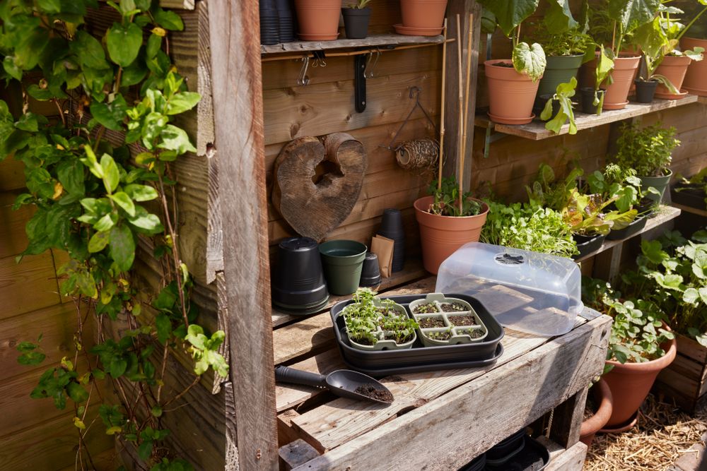 Green Basics Seed Tray 22