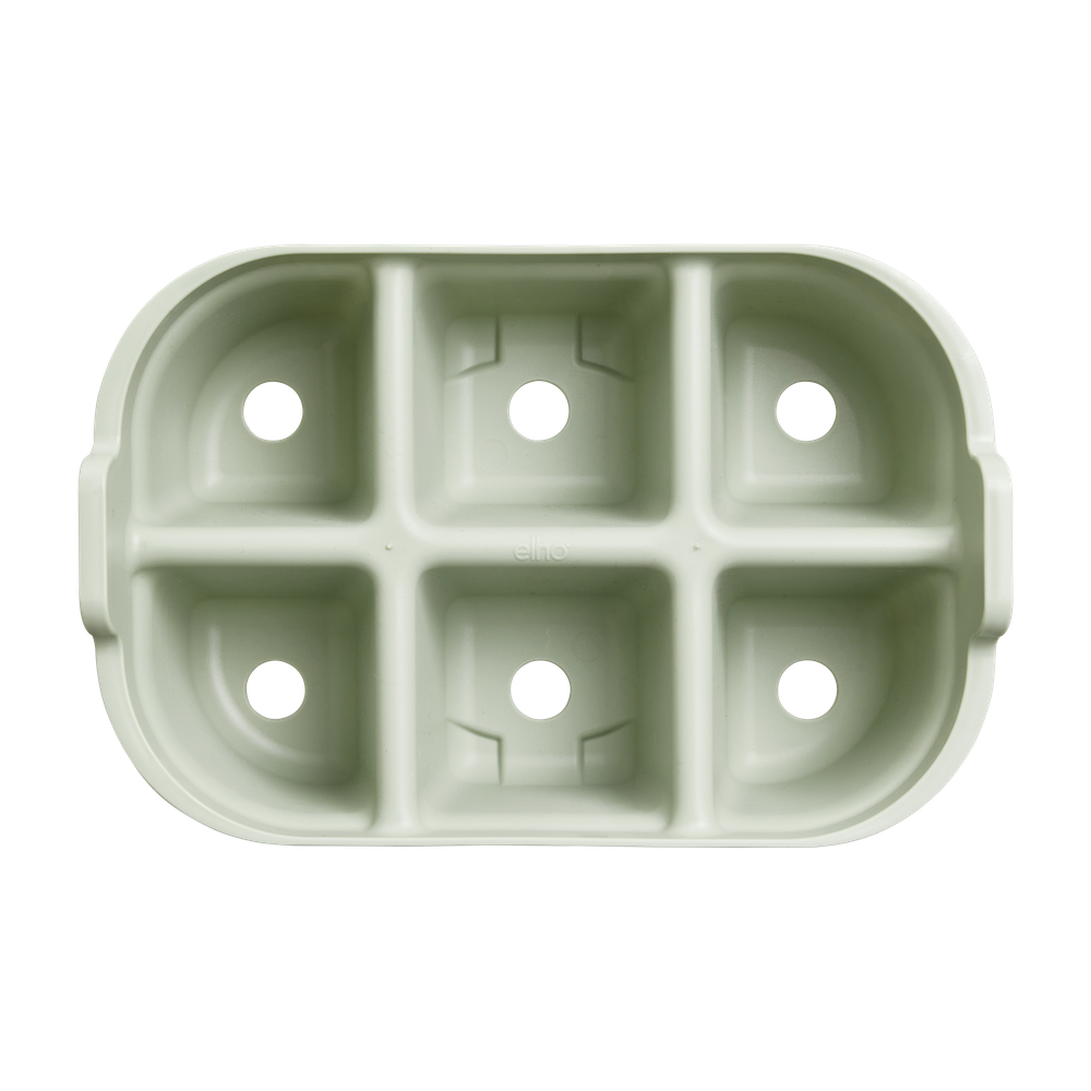 Green Basics Seed Tray 22