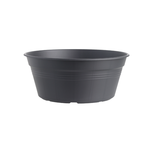 Green Basics Bowl 27