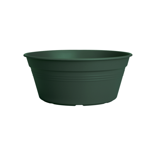 Green Basics Bowl 33