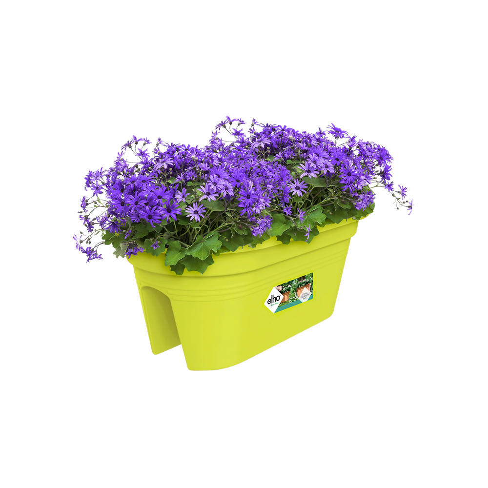 Green Basics Flower Bridge 55