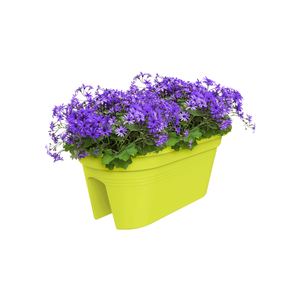Green Basics Flower Bridge 55