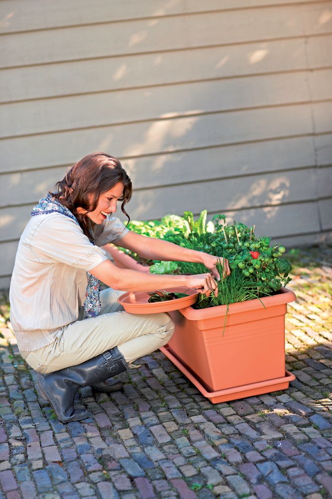 Green Basics Garden Xxl 60