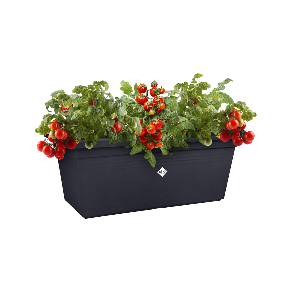 Green Basics Garden Xxl 60