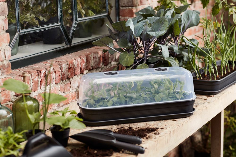 Green Basics Grow Tray Saucer L