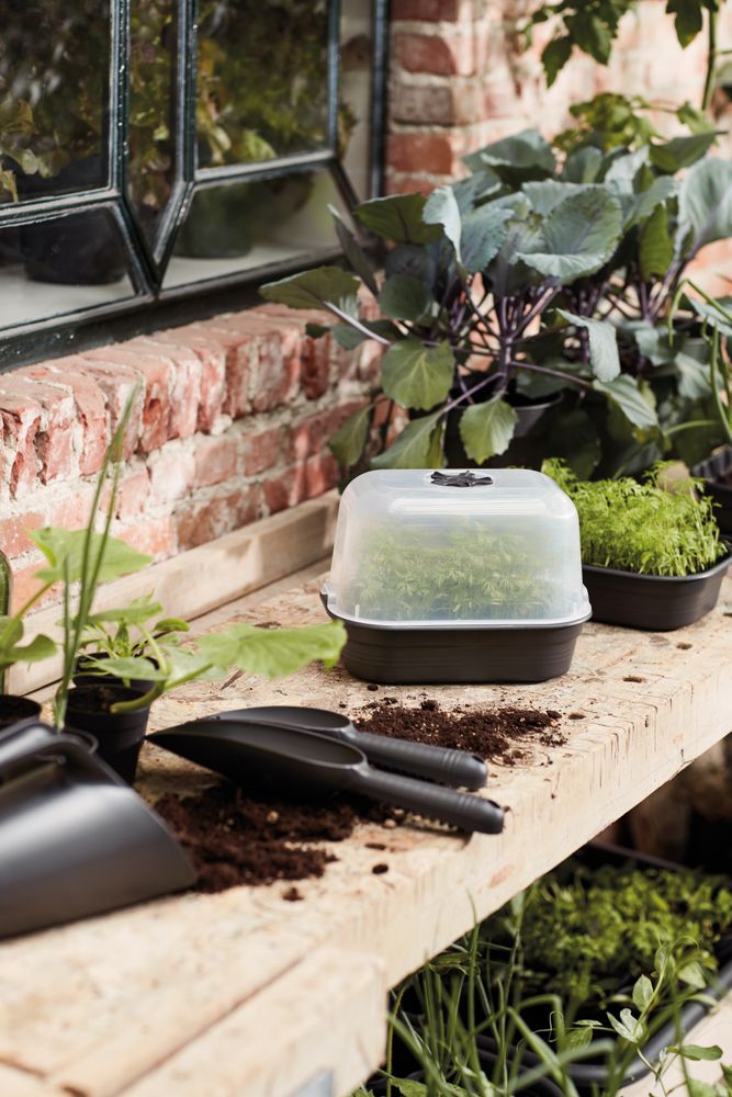 Green Basics Grow Tray Saucer S