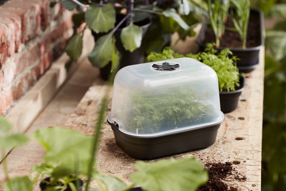Green Basics Grow Tray S