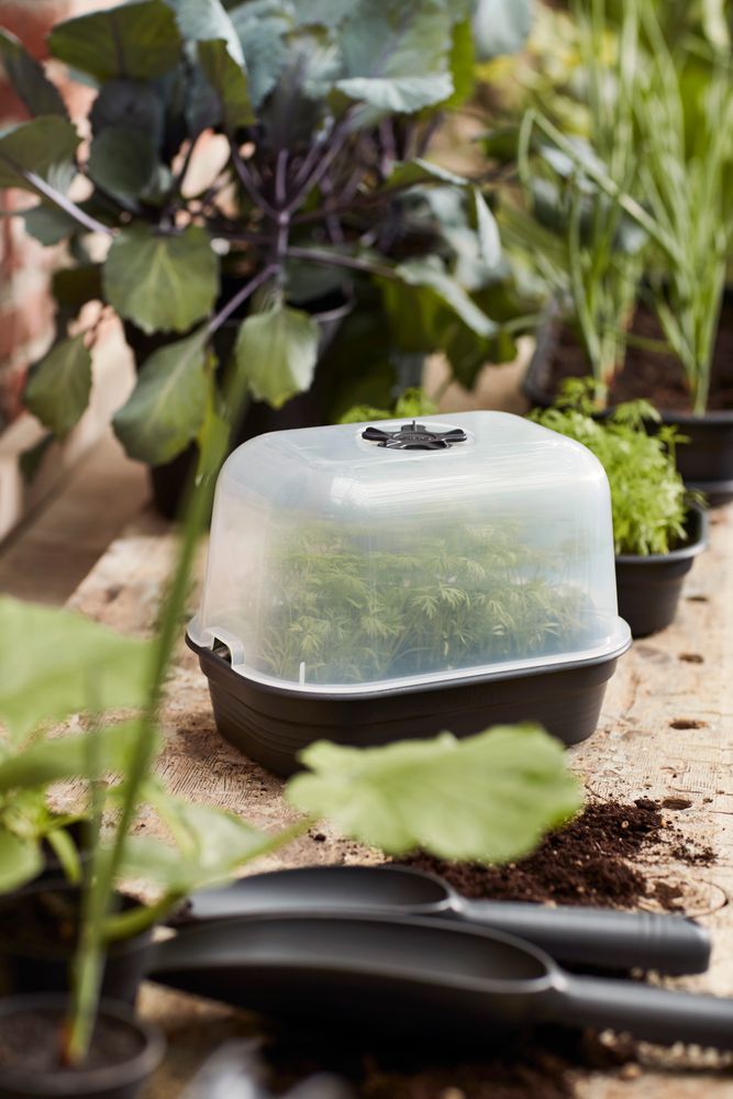Green Basics Grow Tray S