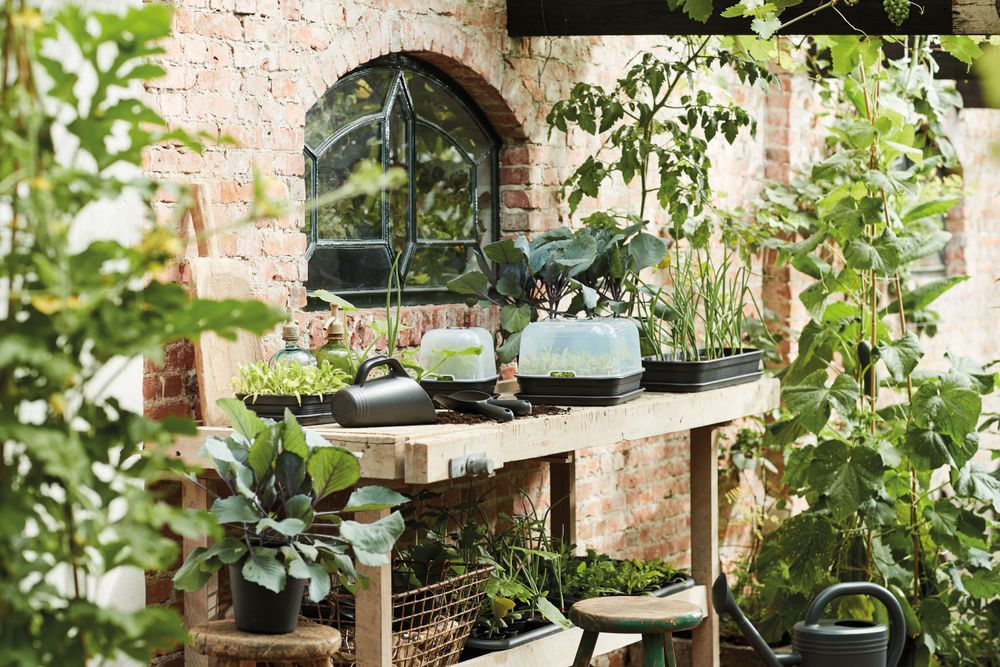 Green Basics Grow House M
