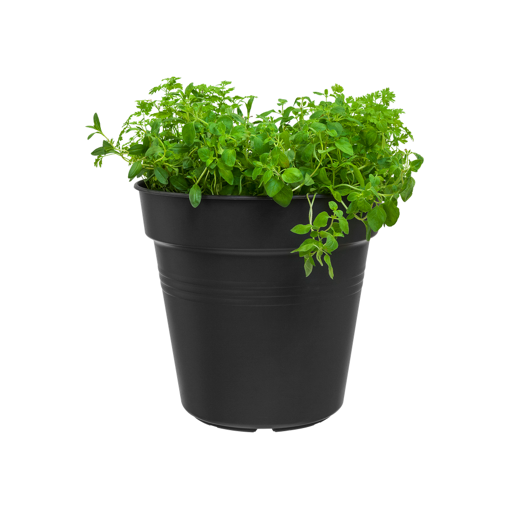 Green Basics Growpot 24