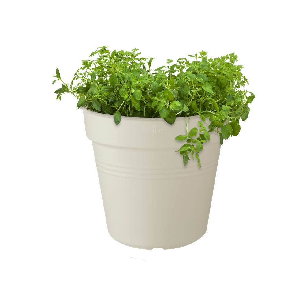 Green Basics Growpot 24