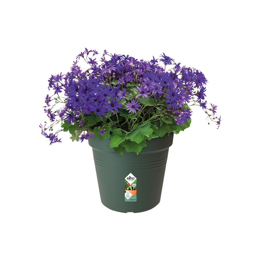 Green Basics Growpot 17