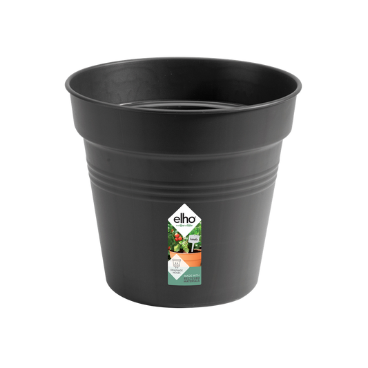 Green Basics Growpot 17
