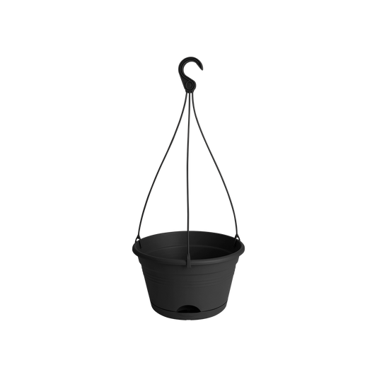 Green Basics Hanging Basket 28