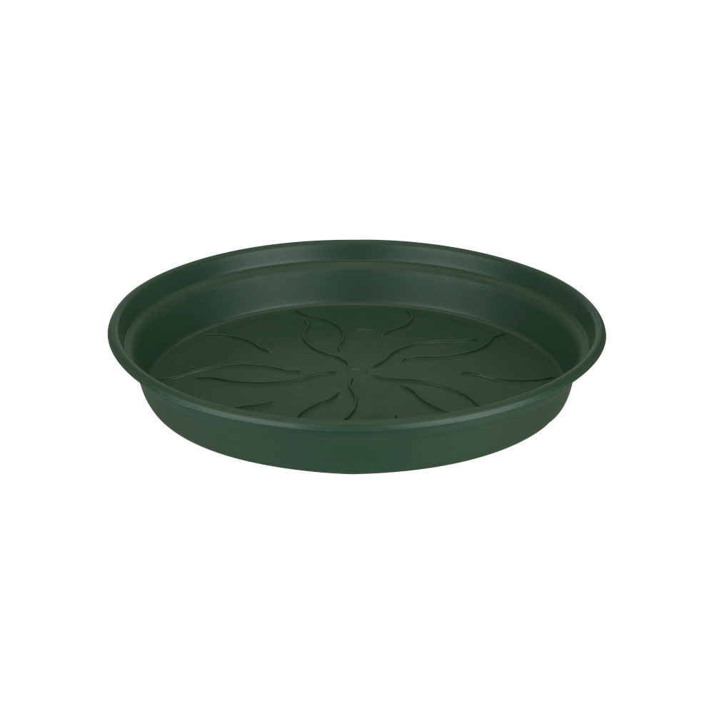 Green Basics Saucer 10