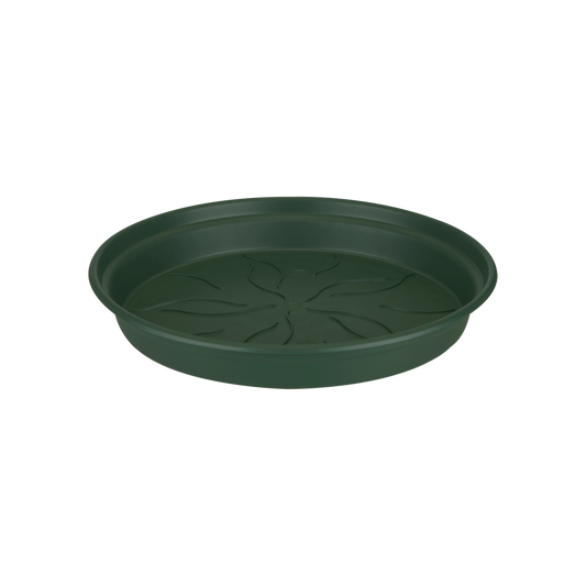 Green Basics Saucer 10