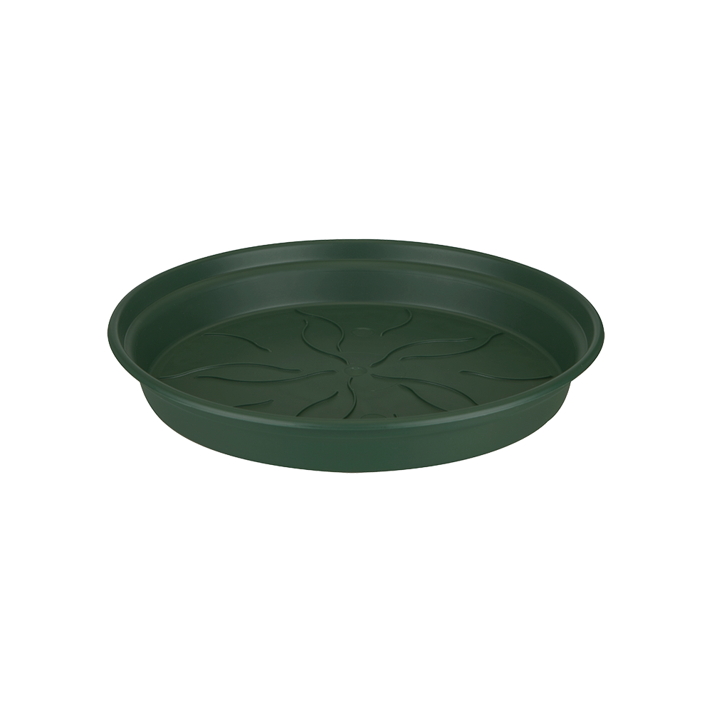 Green Basics Saucer 14