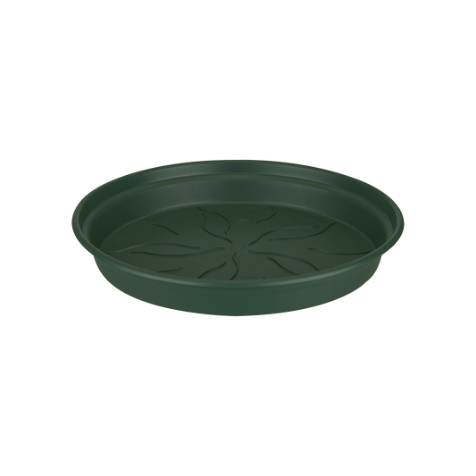 Green Basics Saucer 14