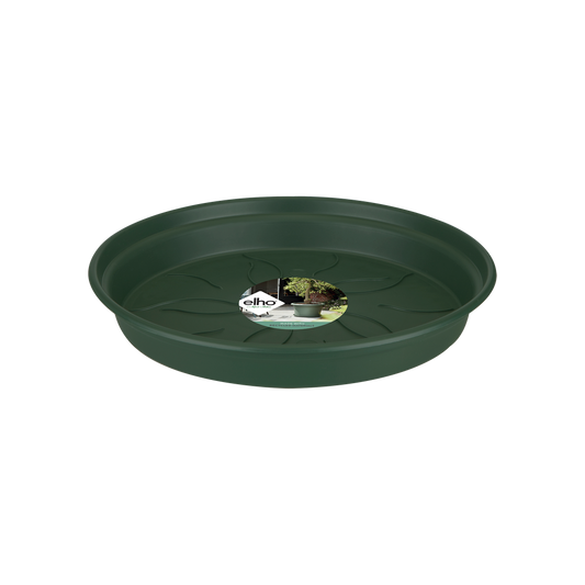 Green Basics Saucer 53