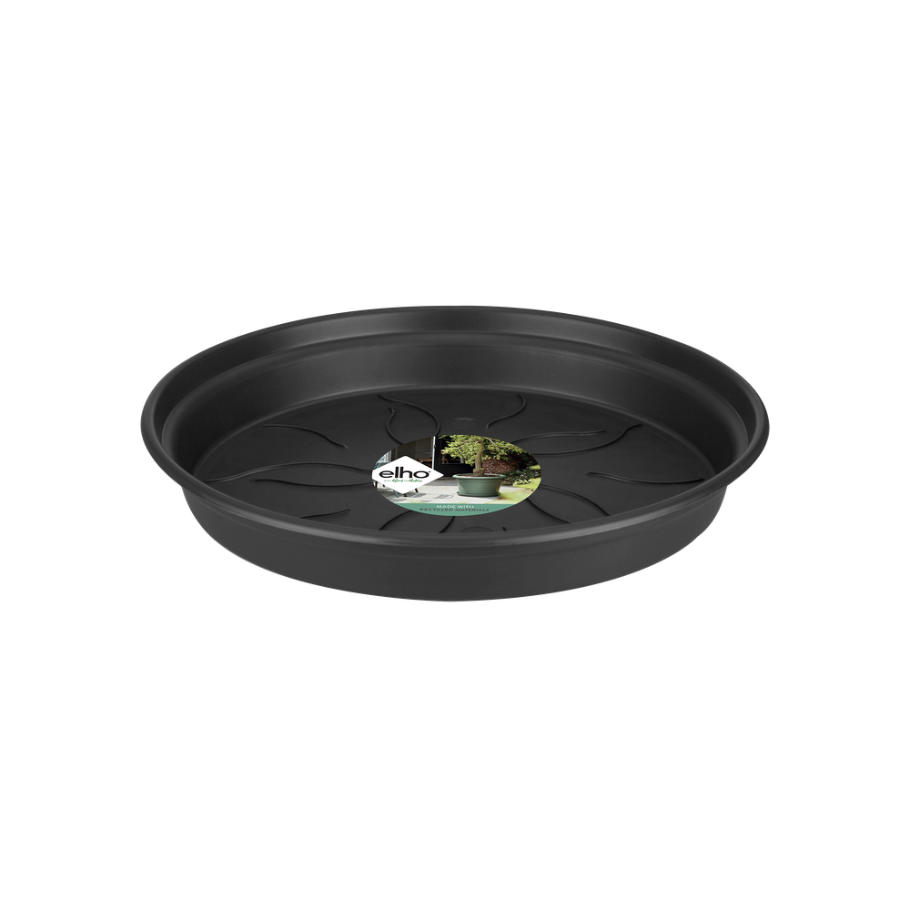 Green Basics Saucer 65