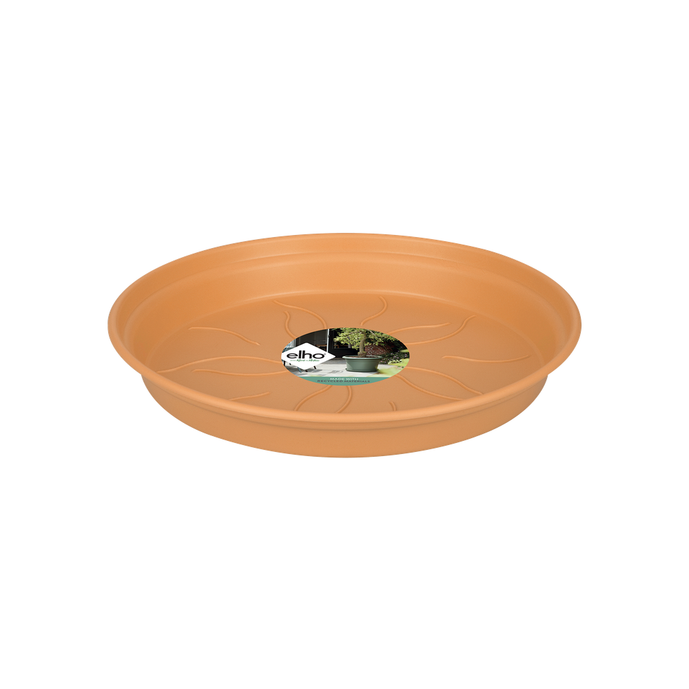 Green Basics Saucer 41