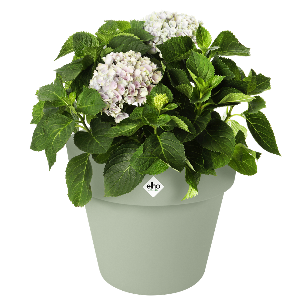 Green Basics Top Planter 47
