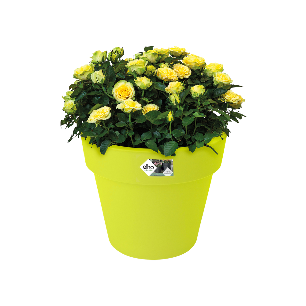 Green Basics Top Planter 23