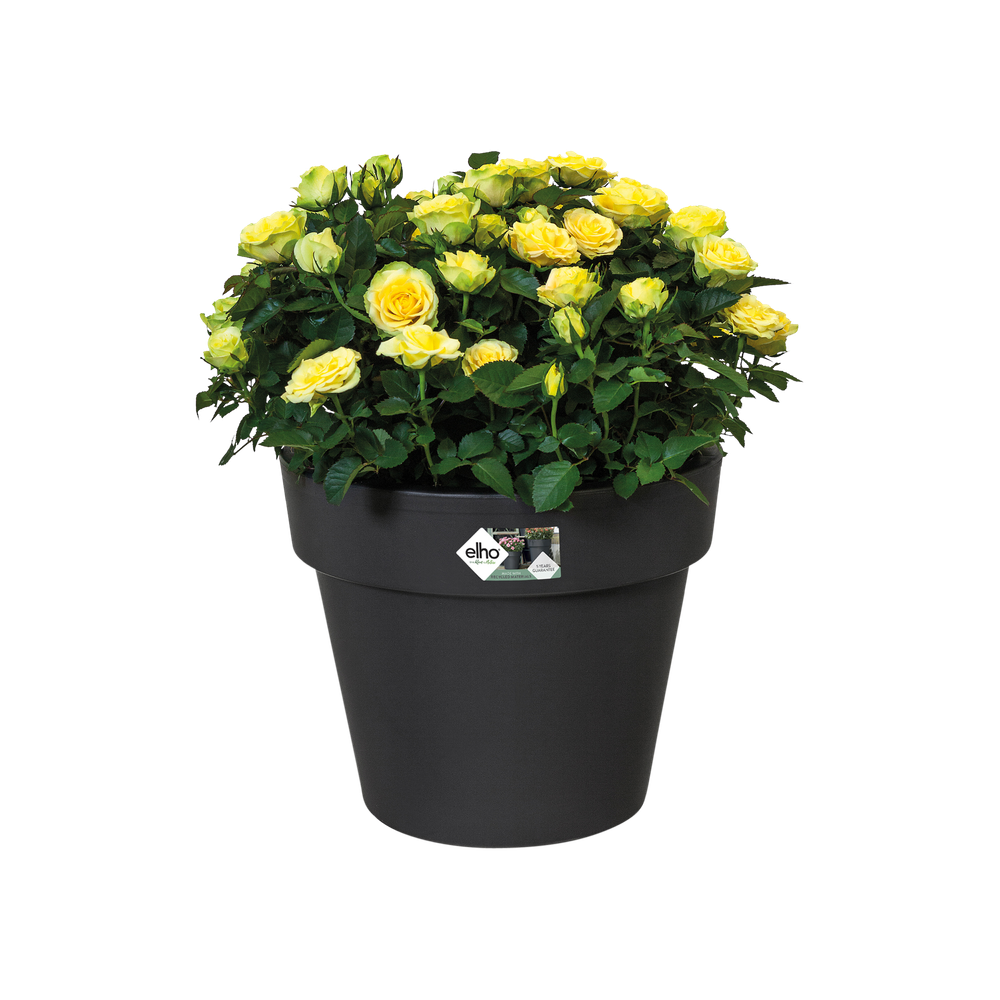 Green Basics Top Planter 23