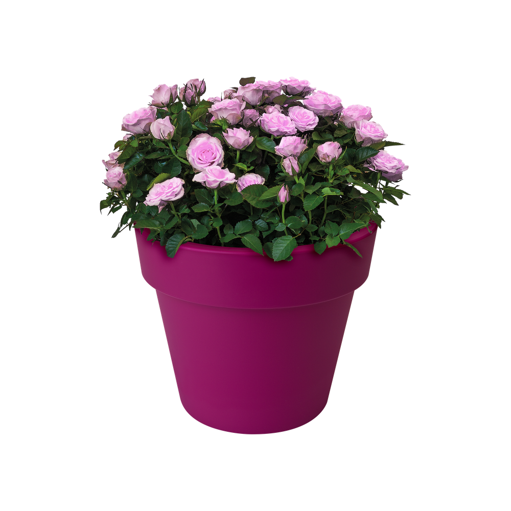 Green Basics Top Planter 23