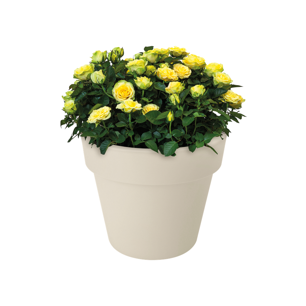 Green Basics Top Planter 23