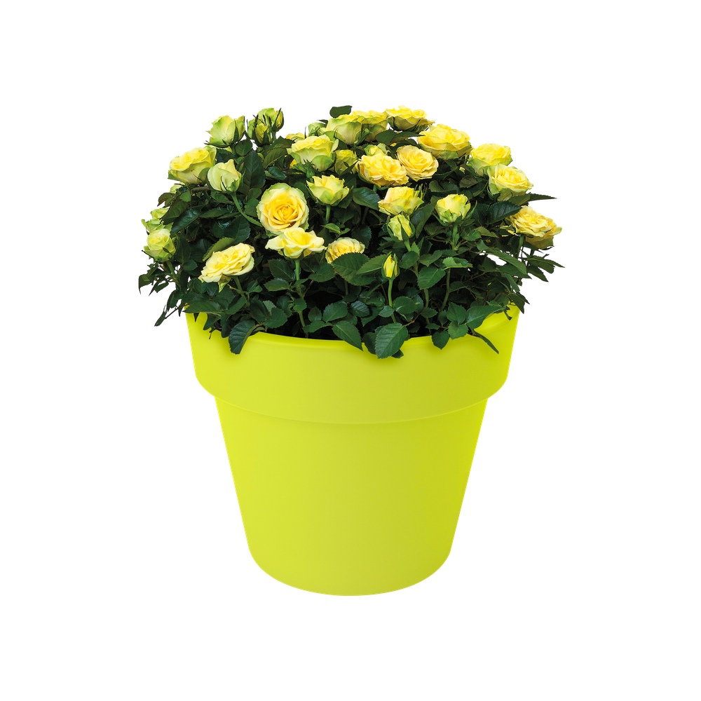 Green Basics Top Planter 23