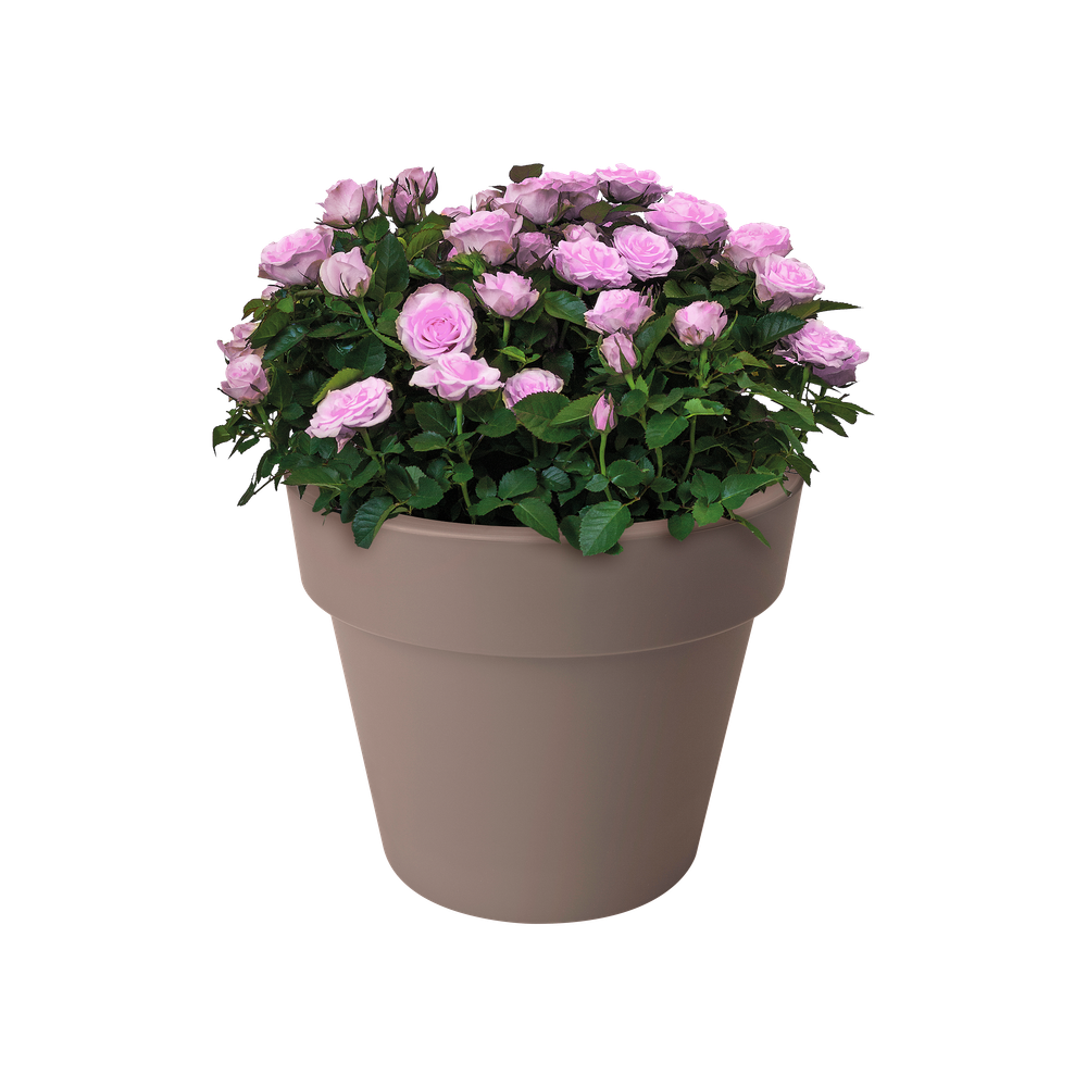 Green Basics Top Planter 23