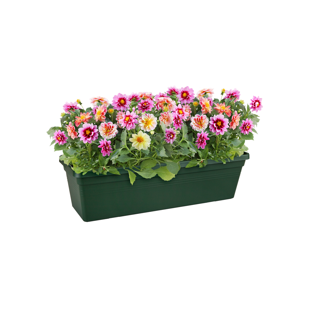 Green Basics Trough 50
