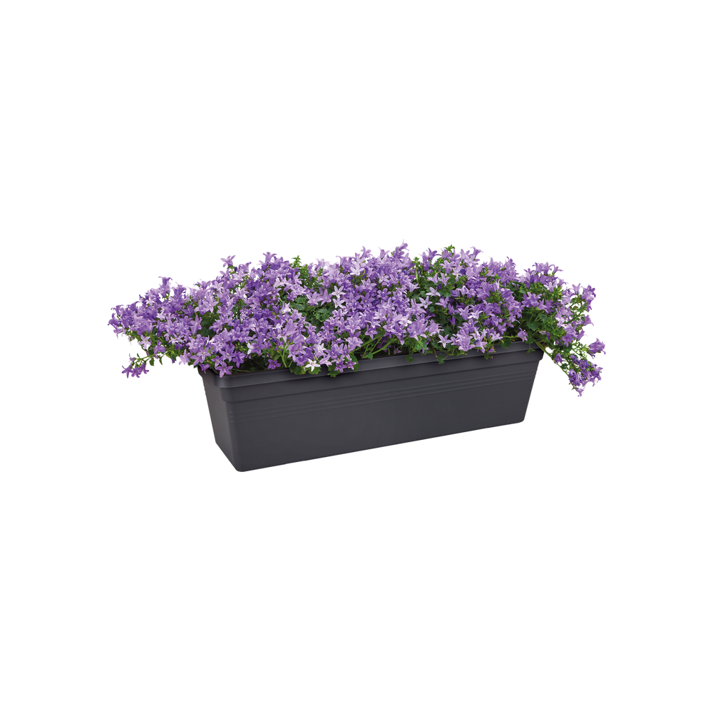 Green Basics Trough 80