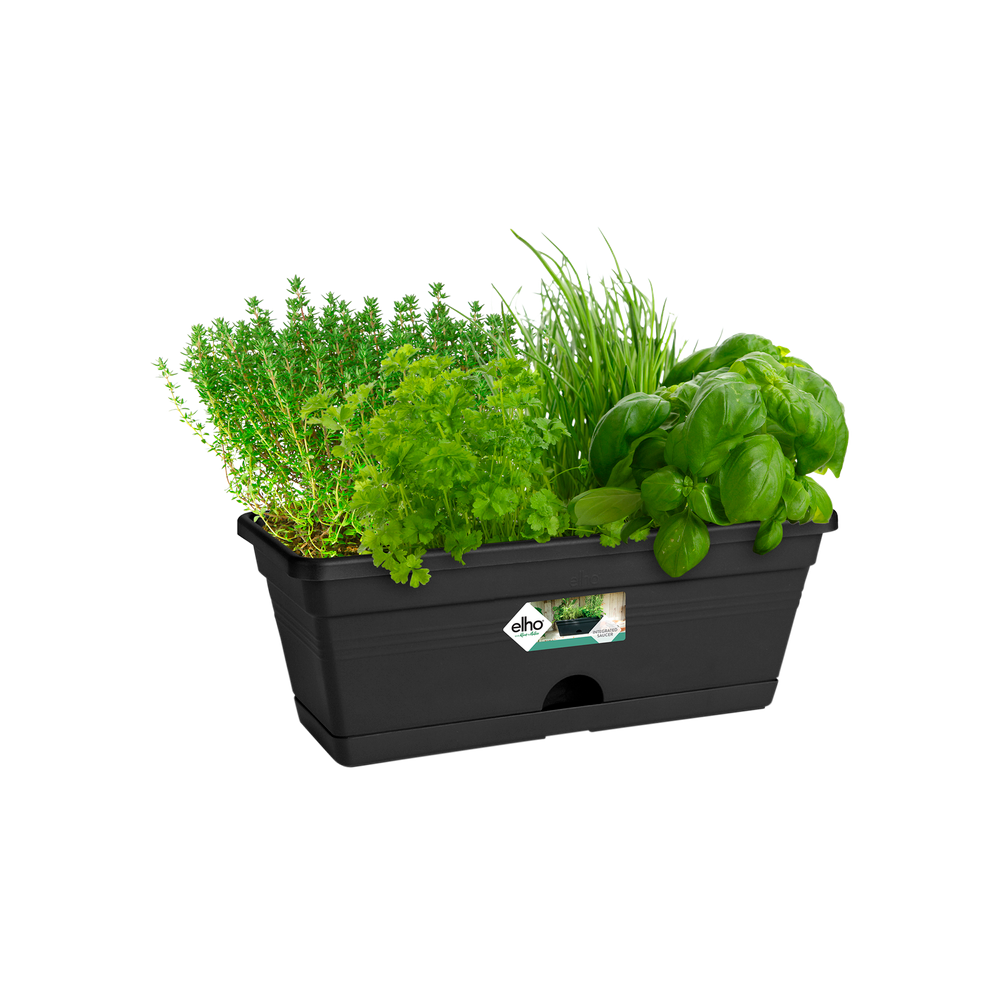 Green Basics Trough Mini 30