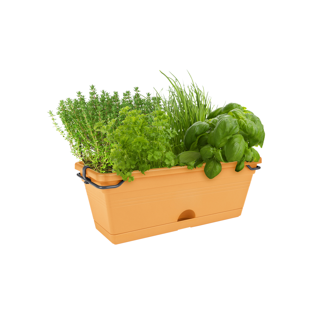 Green Basics Trough Mini 30