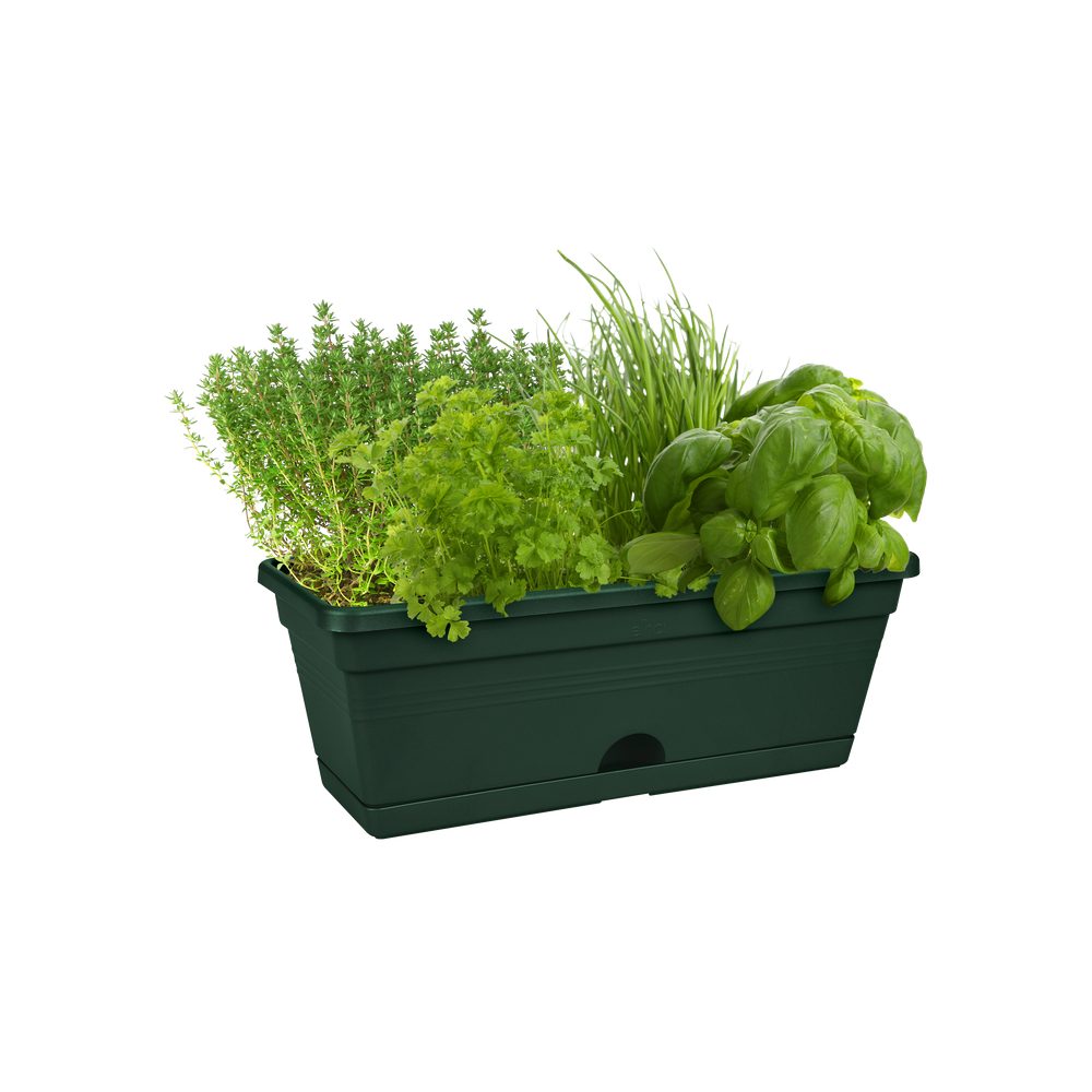 Green Basics Trough Mini 30