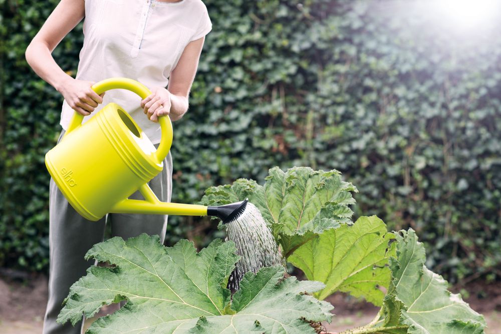 Green Basics Watering Can 10ltr