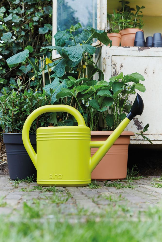 Green Basics Watering Can 10ltr