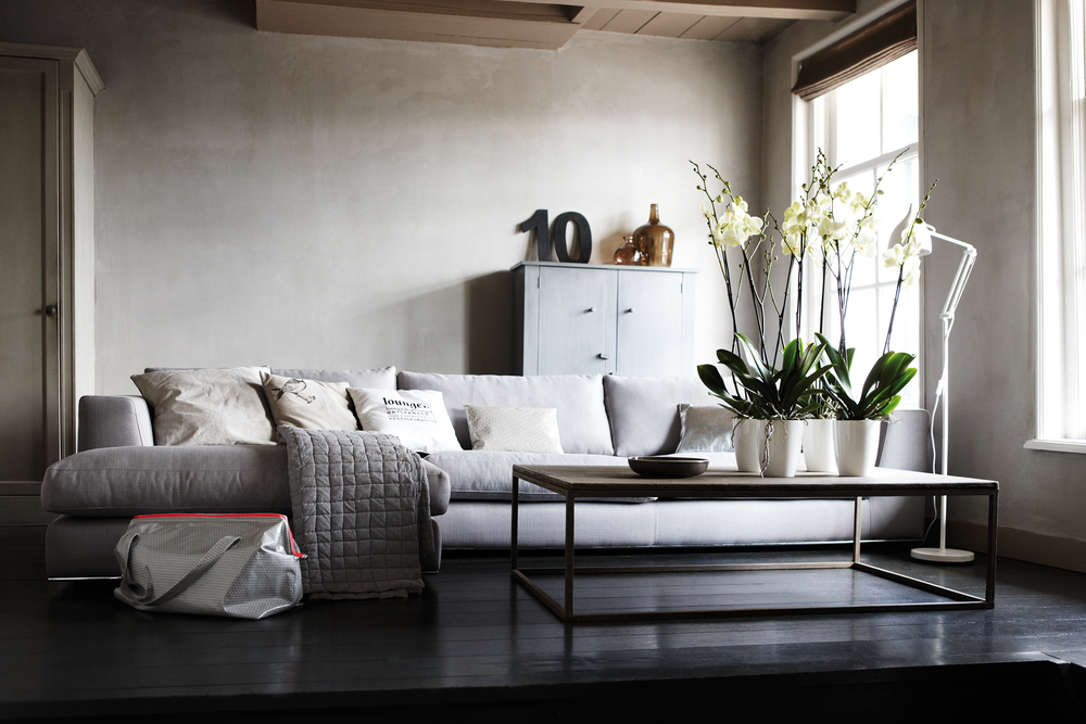 Brussels Diamond Orchid High 10,5