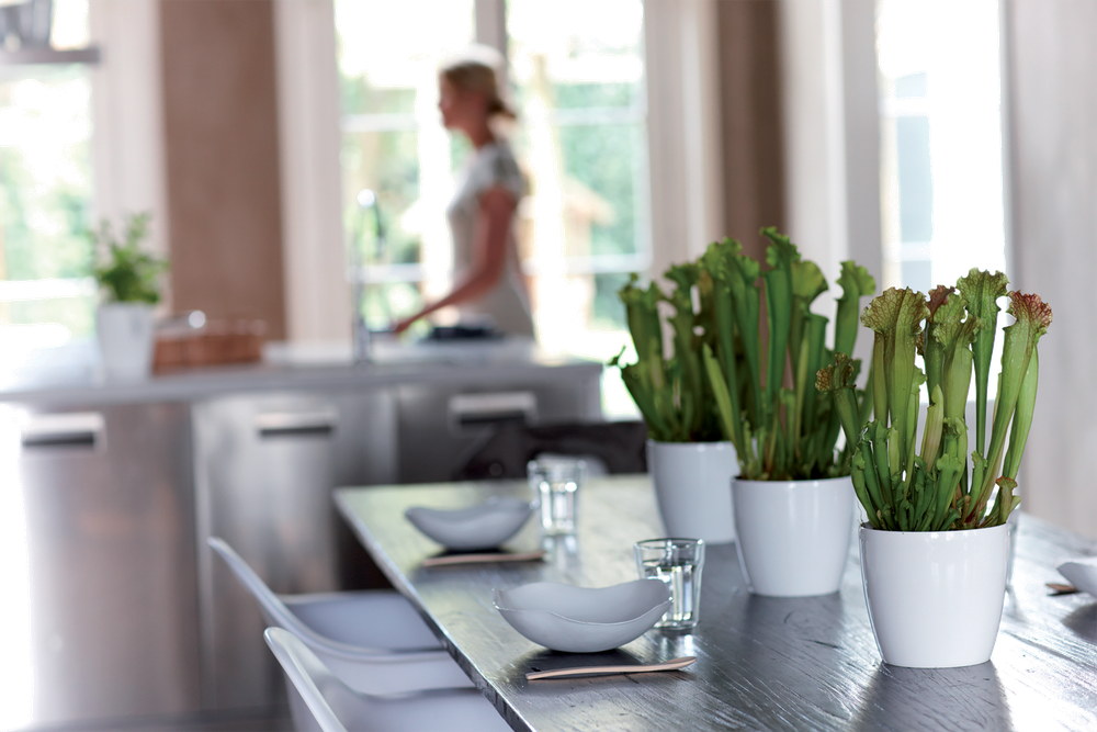 Brussels Diamond Round 16