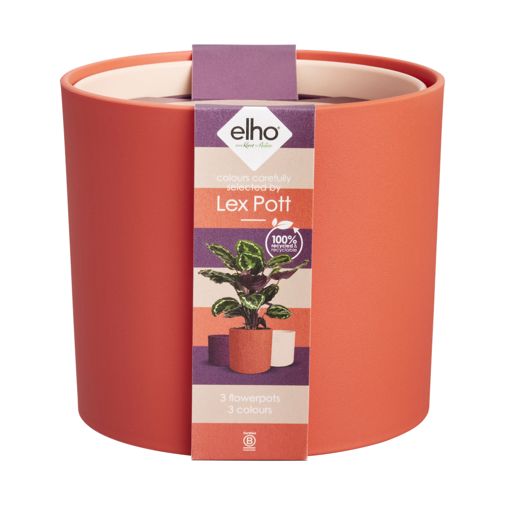 Lex Pott Set 14