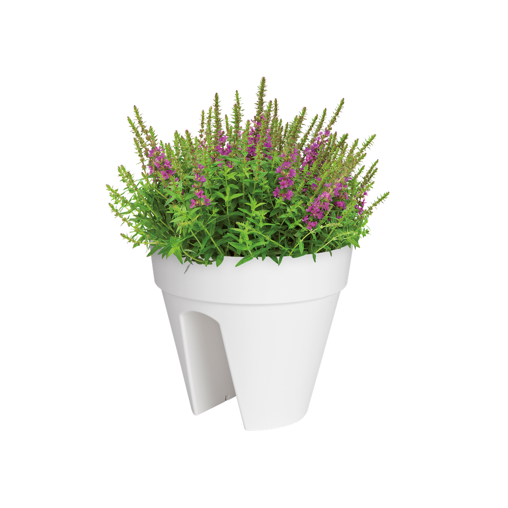 Loft Urban Flower Bridge 30