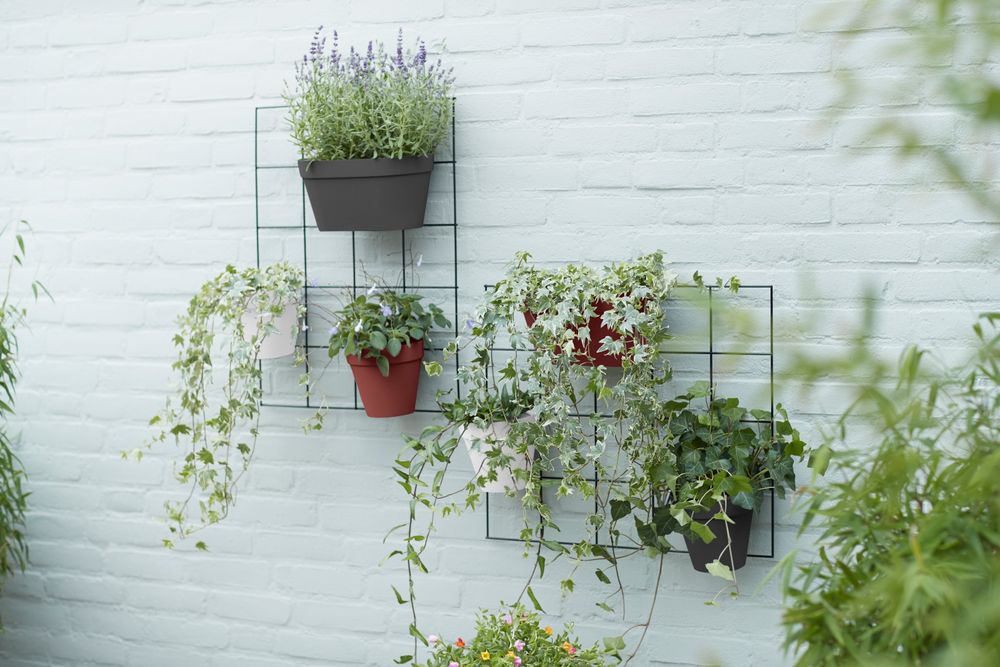 Loft Urban Green Wall Rack 59