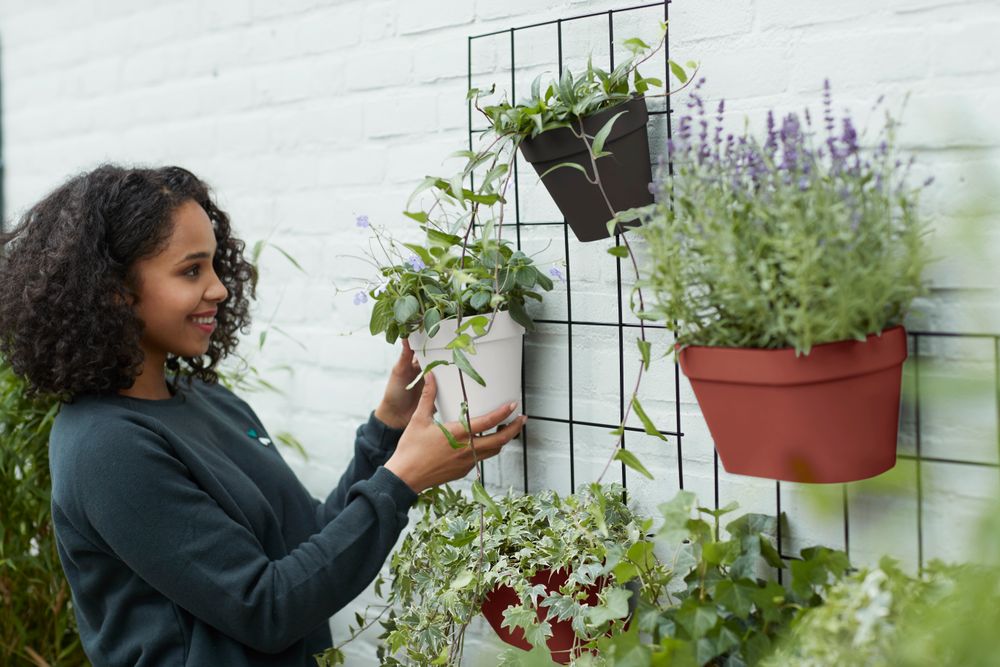 Loft Urban Green Wall Rack 59