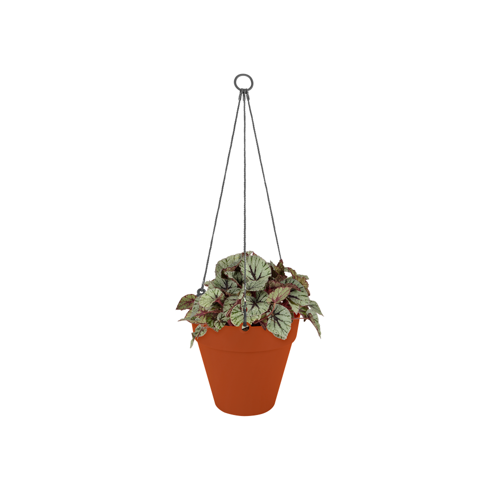 Loft Urban Hanging Basket 20