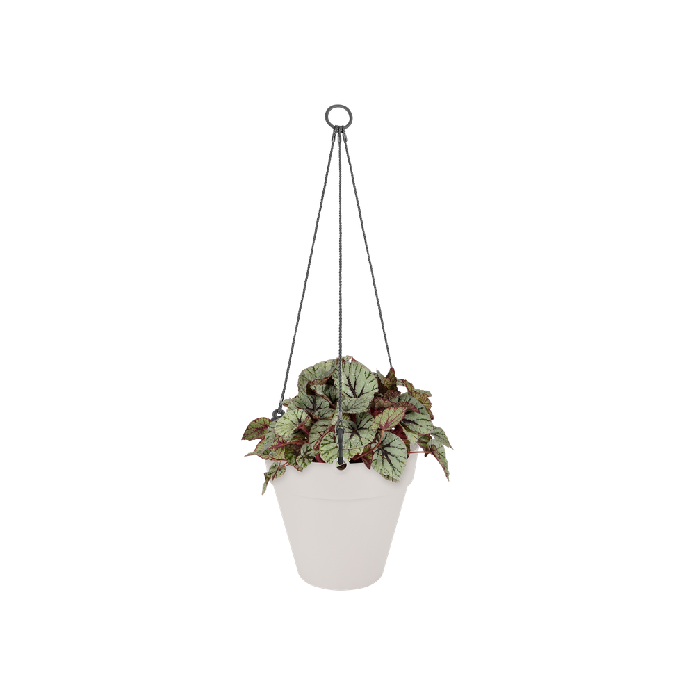 Loft Urban Hanging Basket 20